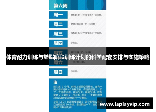 体育耐力训练与燃脂阶段训练计划的科学配套安排与实施策略